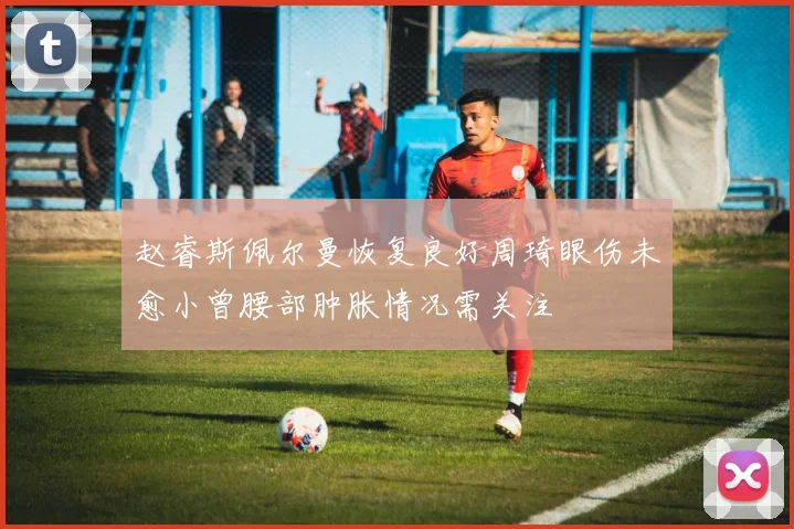 赵睿斯佩尔曼恢复良好周琦眼伤未愈小曾腰部肿胀情况需关注