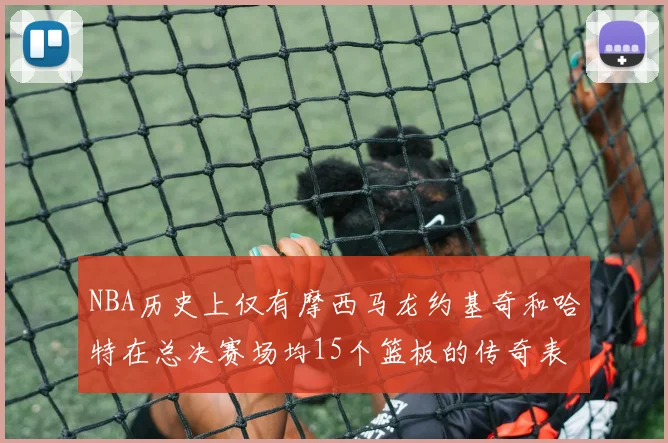 NBA历史上仅有摩西马龙约基奇和哈特在总决赛场均15个篮板的传奇表现